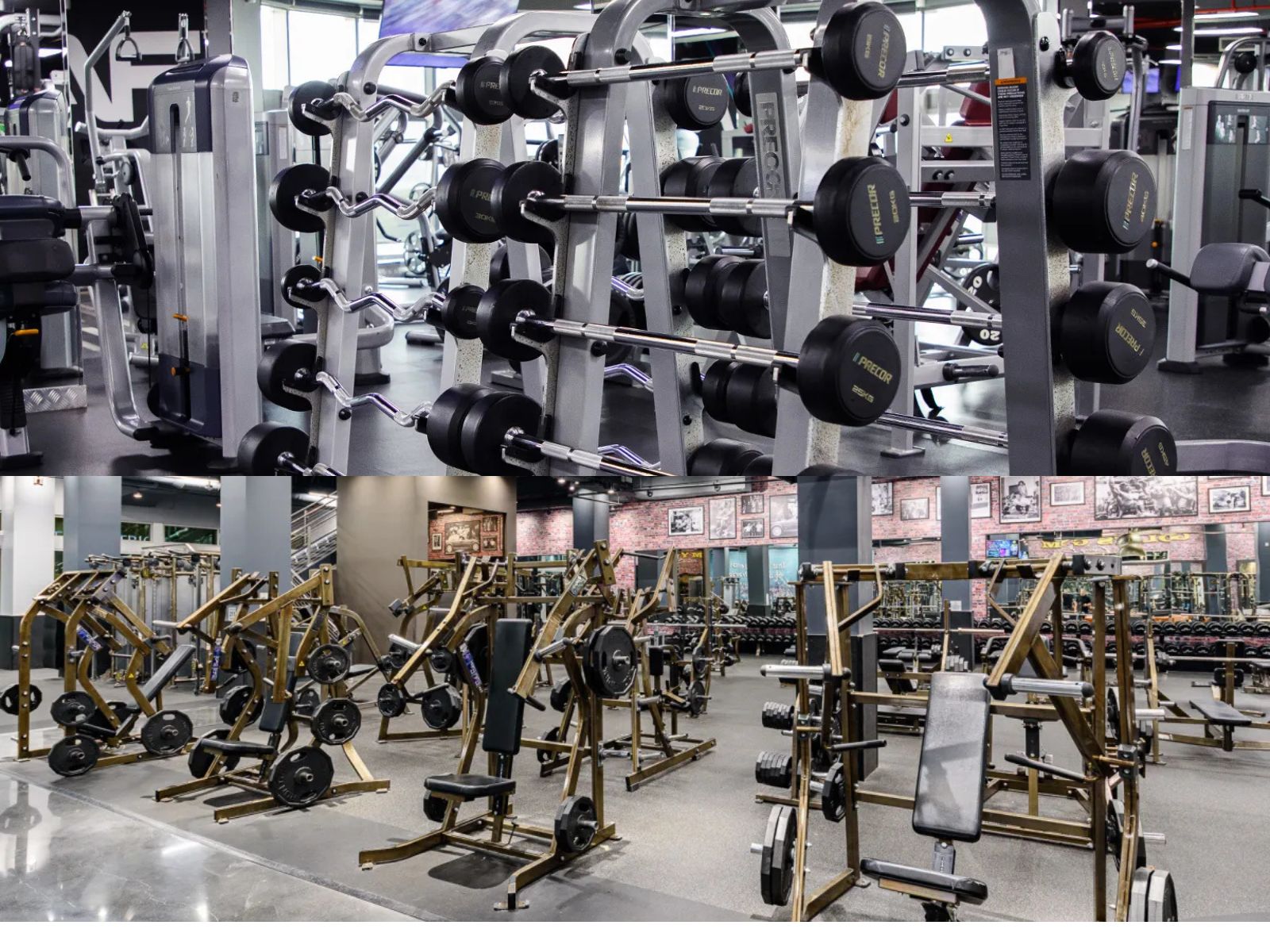 Anytime Fitness vs Golds Gym: Honest Gym Comparison for Real Results 2 Gym facilities comparison between Anytime Fitness and Gold’s Gym